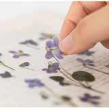 Appree Pressed Flower Deco Sticker - Manchurian Violet -  - Planner Stickers - Bunbougu