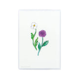 King Jim Hitotoki Note Notebook - Passport Size - My Garden