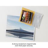 Midori Refrigerator Miniature Magnet - Food - Dango
