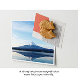 Midori Refrigerator Miniature Magnet - Food - Taiyaki