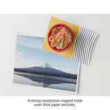 Midori Refrigerator Miniature Magnet - Food - Tendon