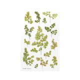 Appree Pressed Flower Deco Sticker - Adiantum -  - Planner Stickers - Bunbougu