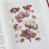 Appree Pressed Flower Deco Sticker - Apple Blossom -  - Planner Stickers - Bunbougu