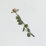 Appree Pressed Flower Deco Sticker - Astragalus Sinicus -  - Planner Stickers - Bunbougu
