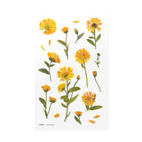 Appree Pressed Flower Deco Sticker - Calendula -  - Planner Stickers - Bunbougu