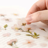 Appree Pressed Flower Deco Sticker - Cherry Blossom -  - Planner Stickers - Bunbougu