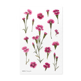 Appree Pressed Flower Deco Sticker - China Pink -  - Planner Stickers - Bunbougu