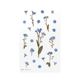 Appree Pressed Flower Deco Sticker - Forget Me Not -  - Planner Stickers - Bunbougu