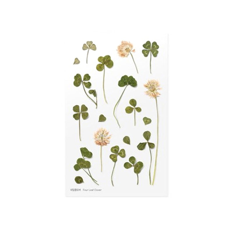 Appree Pressed Flower Deco Sticker - Four Leaf Clover -  - Planner Stickers - Bunbougu