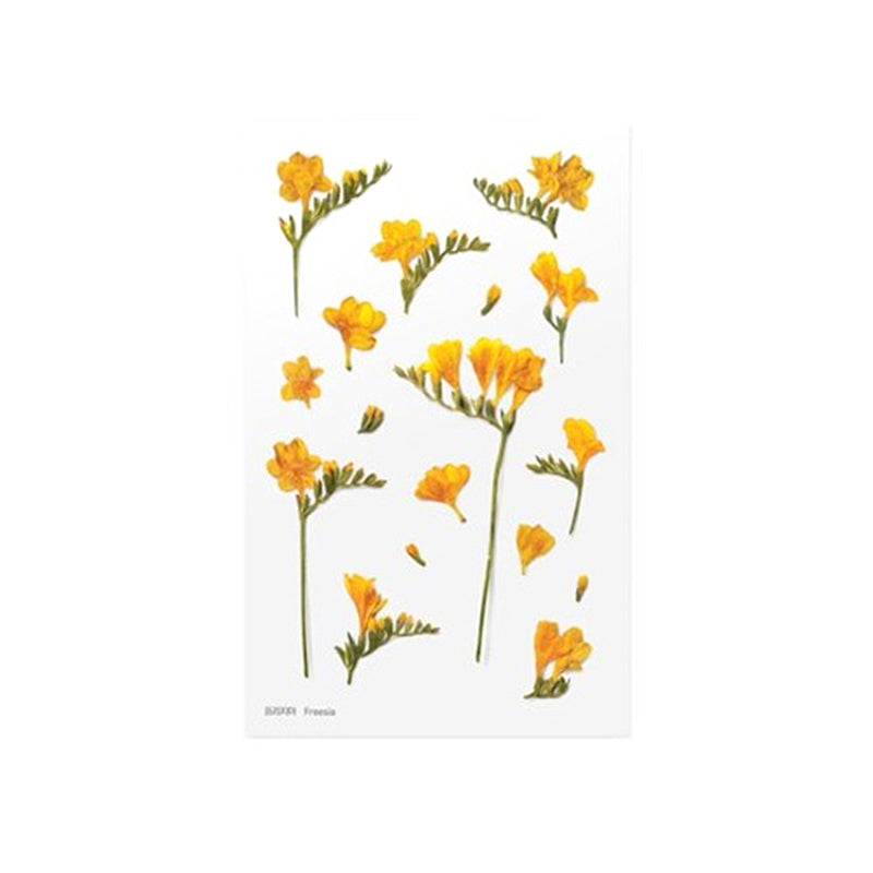 Appree Pressed Flower Deco Sticker - Freesia -  - Planner Stickers - Bunbougu