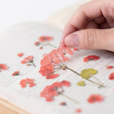 Appree Pressed Flower Deco Sticker - Geranium -  - Planner Stickers - Bunbougu