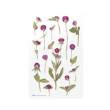Appree Pressed Flower Deco Sticker - Globe Amaranth