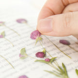 Appree Pressed Flower Deco Sticker - Globe Amaranth -  - Planner Stickers - Bunbougu