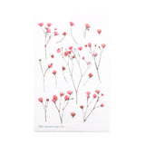 Appree Pressed Flower Deco Sticker - Gypsophila