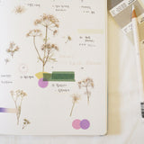 Appree Pressed Flower Deco Sticker - Lace Flower -  - Planner Stickers - Bunbougu