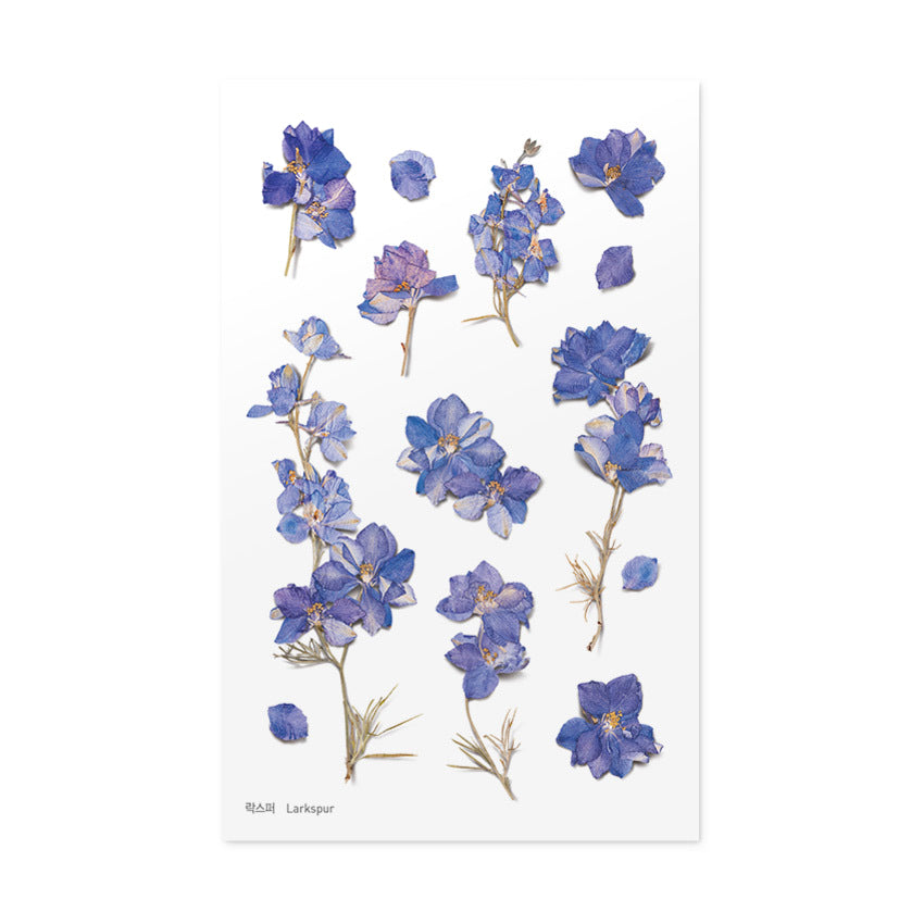 Appree Pressed Flower Deco Sticker - Larkspur -  - Planner Stickers - Bunbougu