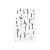 Appree Pressed Flower Deco Sticker - Lavender