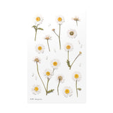 Appree Pressed Flower Deco Sticker - Marguerite -  - Planner Stickers - Bunbougu
