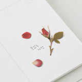 Appree Pressed Flower Deco Sticker - Mini Rose -  - Planner Stickers - Bunbougu