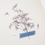 Appree Pressed Flower Deco Sticker - Misty Blue -  - Planner Stickers - Bunbougu