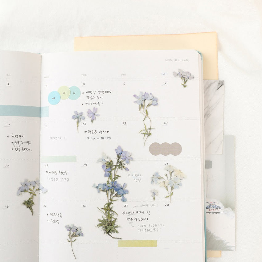 Appree Pressed Flower Deco Sticker - Moss Phlox -  - Planner Stickers - Bunbougu