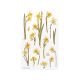 Appree Pressed Flower Deco Sticker - Narcissus -  - Planner Stickers - Bunbougu