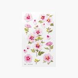 Appree Pressed Flower Deco Sticker - Rose of Sharon