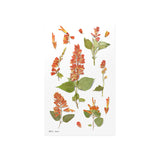 Appree Pressed Flower Deco Sticker - Salvia -  - Planner Stickers - Bunbougu