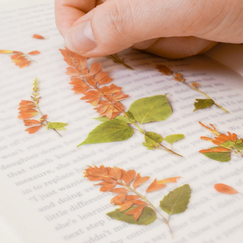 Appree Pressed Flower Deco Sticker - Salvia -  - Planner Stickers - Bunbougu