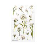 Appree Pressed Flower Deco Sticker - Sweet Alyssum -  - Planner Stickers - Bunbougu