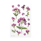 Appree Pressed Flower Deco Sticker - Verbena
