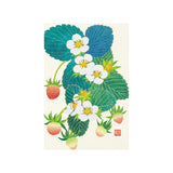 Midori Echizen Japanese Washi Postcard - Limited Edition - Strawberry - Envelopes & Letter Pads - Bunbougu