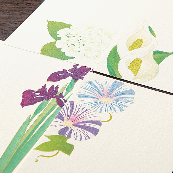 Midori Echizen Japanese Washi Postcard - Early Summer Blue Flower - 4 Patterns/8 Sheets -  - Envelopes & Letter Pads - Bunbougu