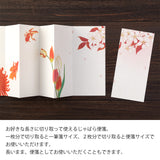 Midori Echizen Washi Letter Set - 15th Anniversary Limited Edition - Seasonal Red -  - Envelopes & Letter Pads - Bunbougu