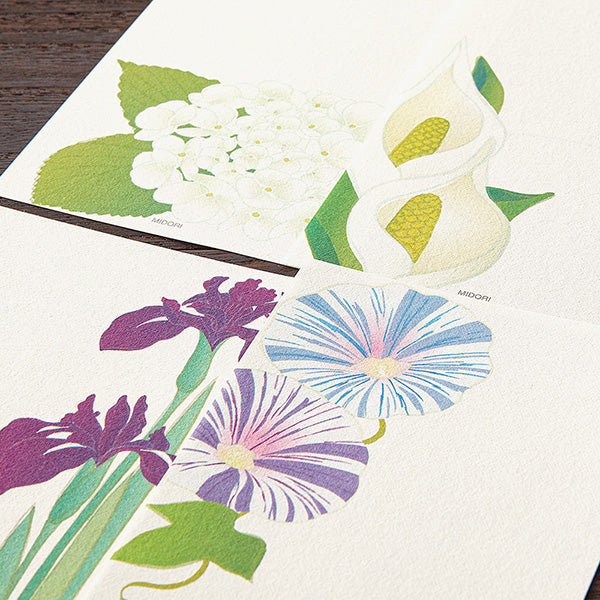 Midori Echizen Washi One Stroke Letterpress Paper - Early Summer Flower - 4 Patterns/16 Sheets -  - Envelopes & Letter Pads - Bunbougu