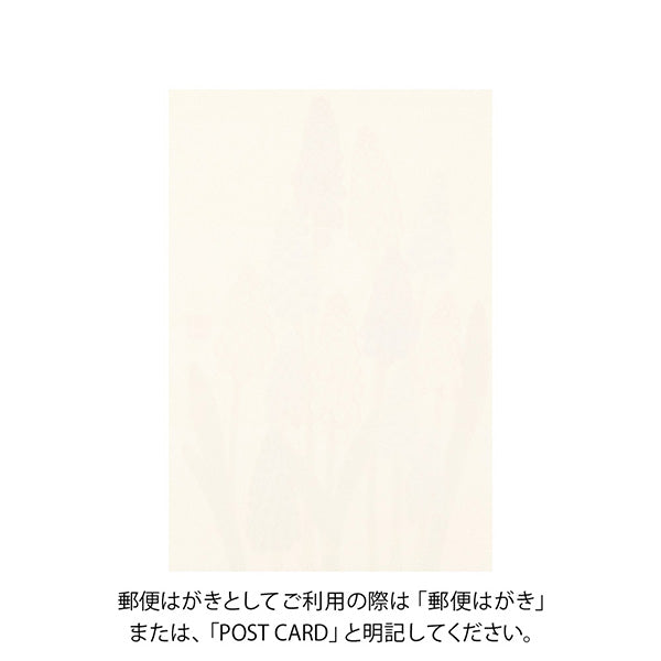 Midori Echizen Japanese Washi Postcard - Limited Edition -  - Envelopes & Letter Pads - Bunbougu