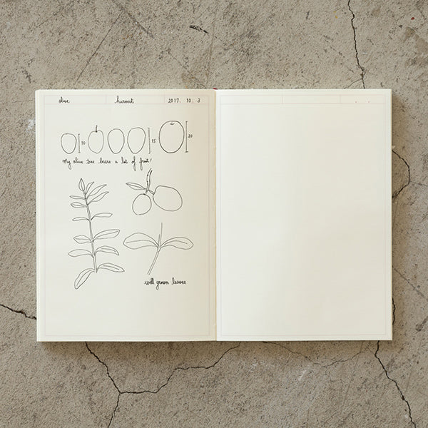 Midori MD Notebook - Plain with Journal Frame - A5 -  - Notebooks - Bunbougu
