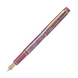 Pilot Grance Fountain Pen - Marble Pink - 14k Gold - Fine Nib