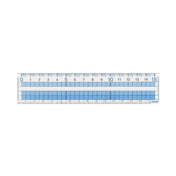 Raymay Easy to See Grid Ruler - 15 cm – Bunbougu